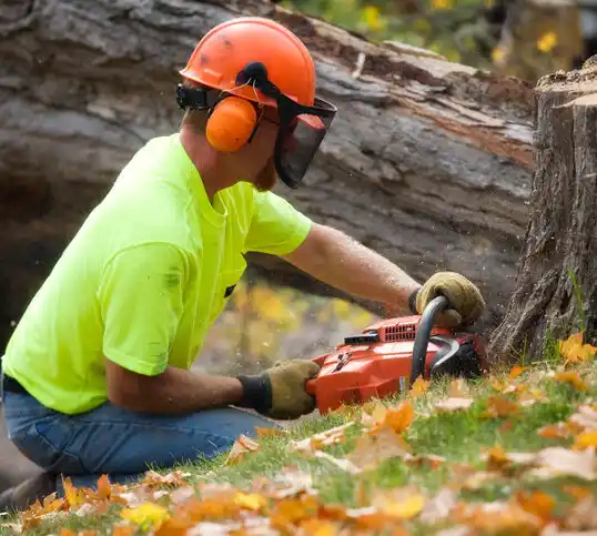 tree services Lake Providence